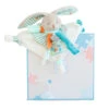 Doudou Attache-sucette DOUDOU ET COMPAGNIE Happy Lapin