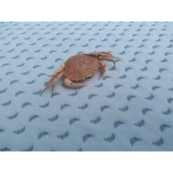 Matelas Océan Friendly 70x140 CANDIDE -Made 4 Baby Boutique matelas ocean friendly 36