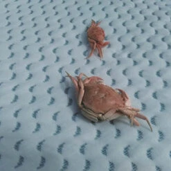 Matelas Océan Friendly 70x140 CANDIDE -Made 4 Baby Boutique matelas ocean friendly 38