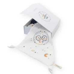 Mon Coffret Astro TOM ET MILA Gemeaux