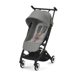 Poussette Libelle 2022 CYBEX Lava Grey