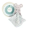 Souris Avec Doudou Vert 15cm DOUDOU&COMPAGNIE Botanic -Made 4 Baby Boutique souris avec doudou vert 15cm doudoucompagnie botanic